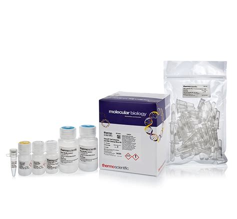 dna extraction and purification kit|GeneJET Gel Extraction and DNA Cleanup Micro Kit.